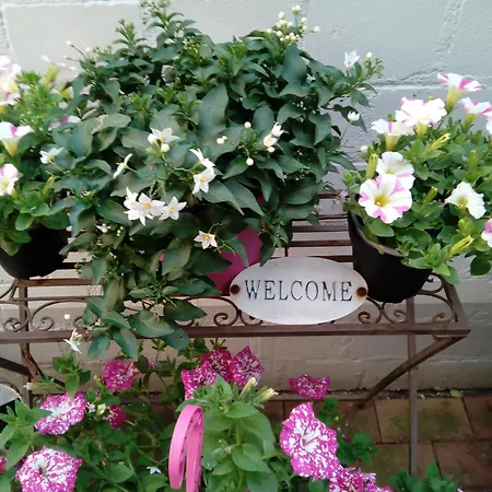 Johannes Buell Lägenhet