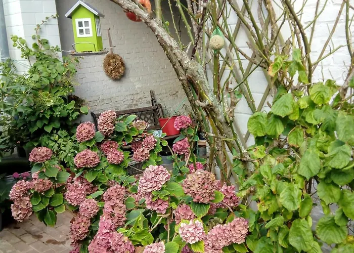 Johannes Buell Lägenhet Eckernförde